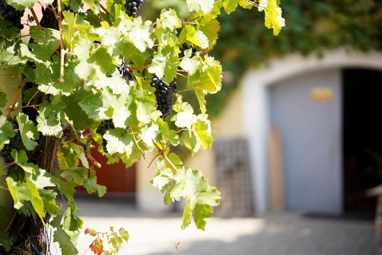 Weingut Martin Blass Erlabrunn  Exterior photo